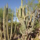 SEMICON West | October 7-9, 2025 | Phoenix AZ, USA